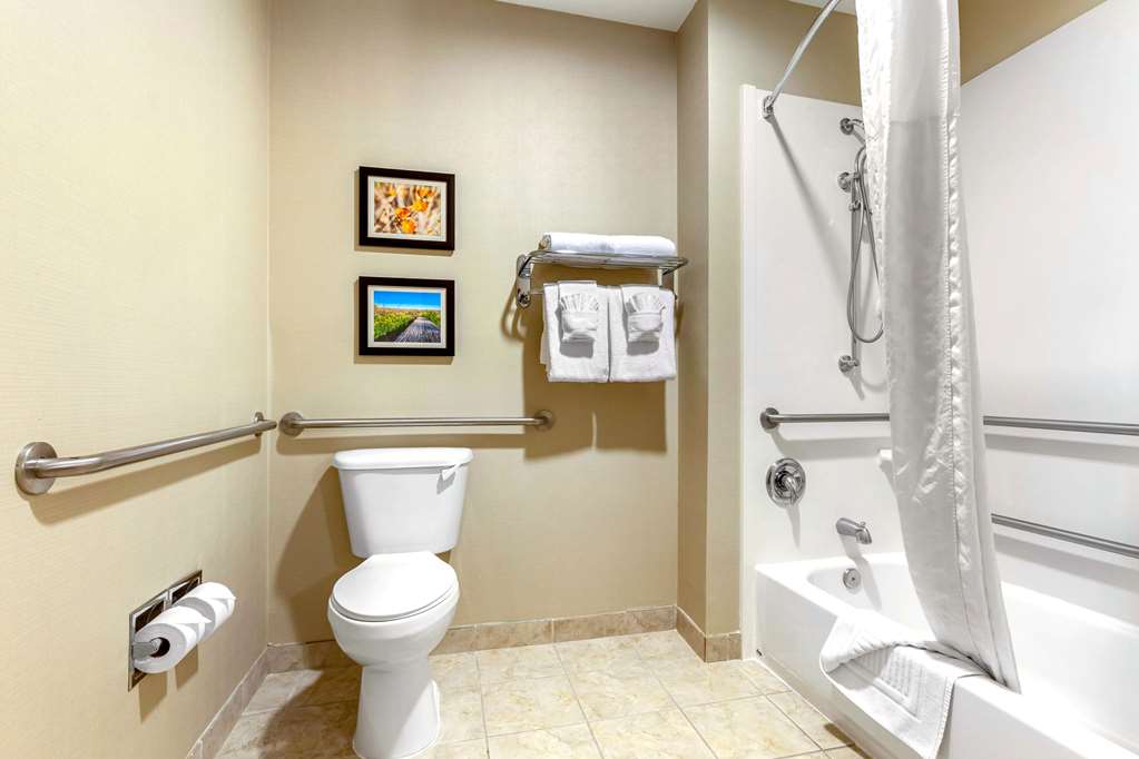 Comfort Suites Glendale State Farm Stadium Area - photo 27