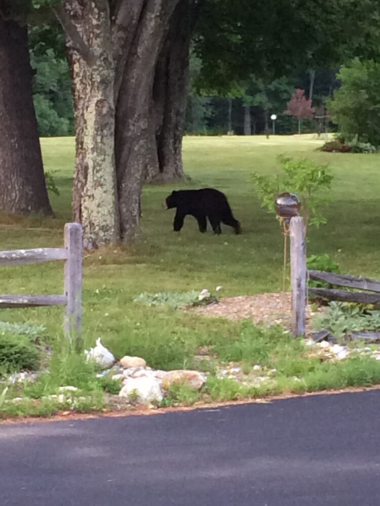 Aerie Inn of Vermont - photo 57