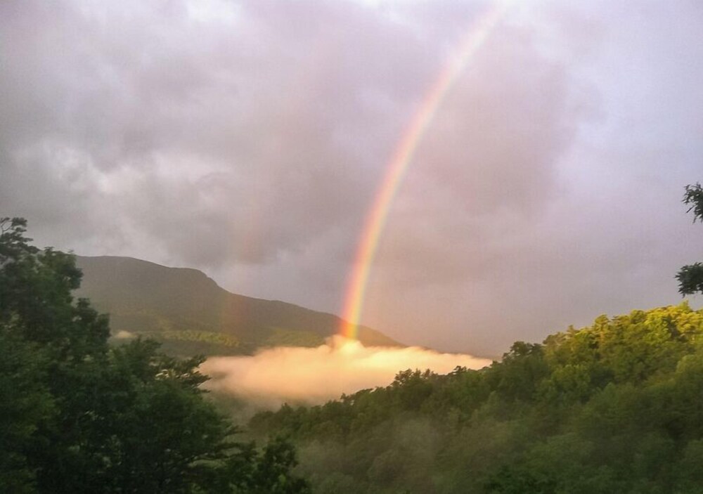 Bearly Heaven - photo 22