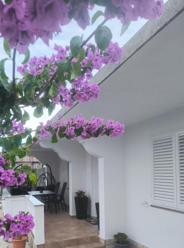 Holiday house Solis — 4-Star Luxury Hotel in Rab, Croatia