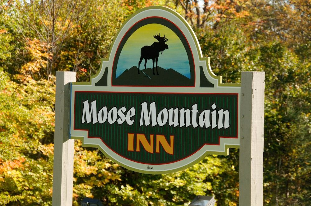 Moose Mountain inn - photo 4