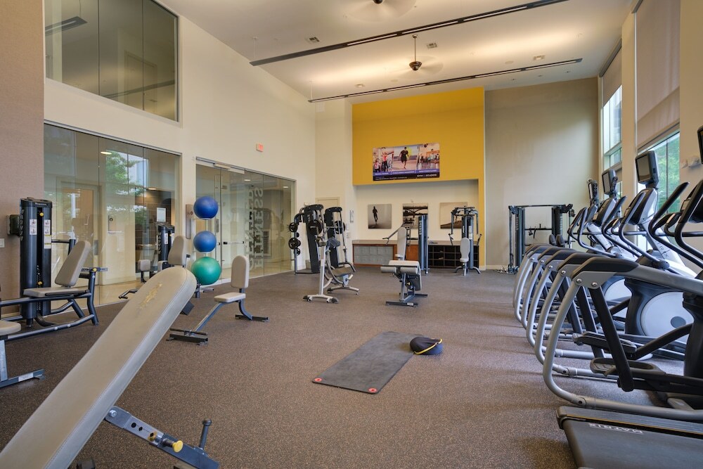 Locale Lakeshore - photo 12