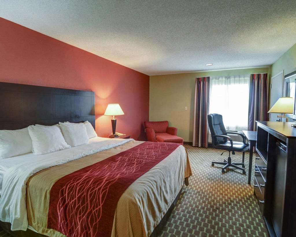 Quality Inn & Suites Pine Bluff - photo 2