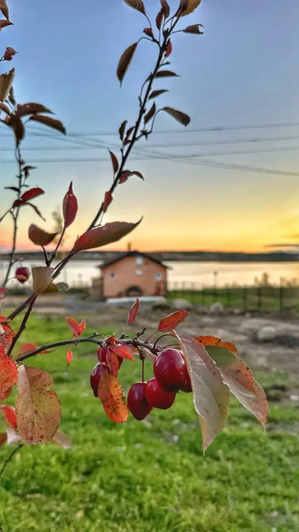 Michurinskoye Ozero Recreation Center — hotel in Michurinskoye