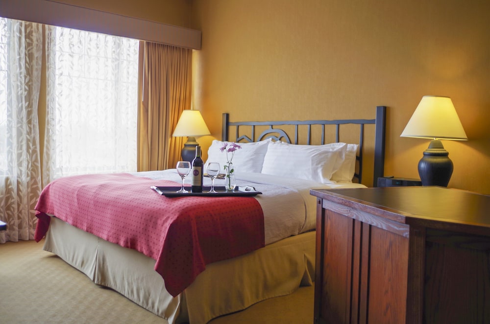 Holiday Inn Pewaukee Milwaukee West by IHG - photo 4