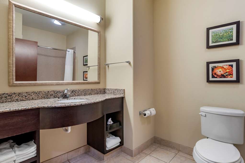 Comfort Inn & Suites Scott West Lafayette - photo 26