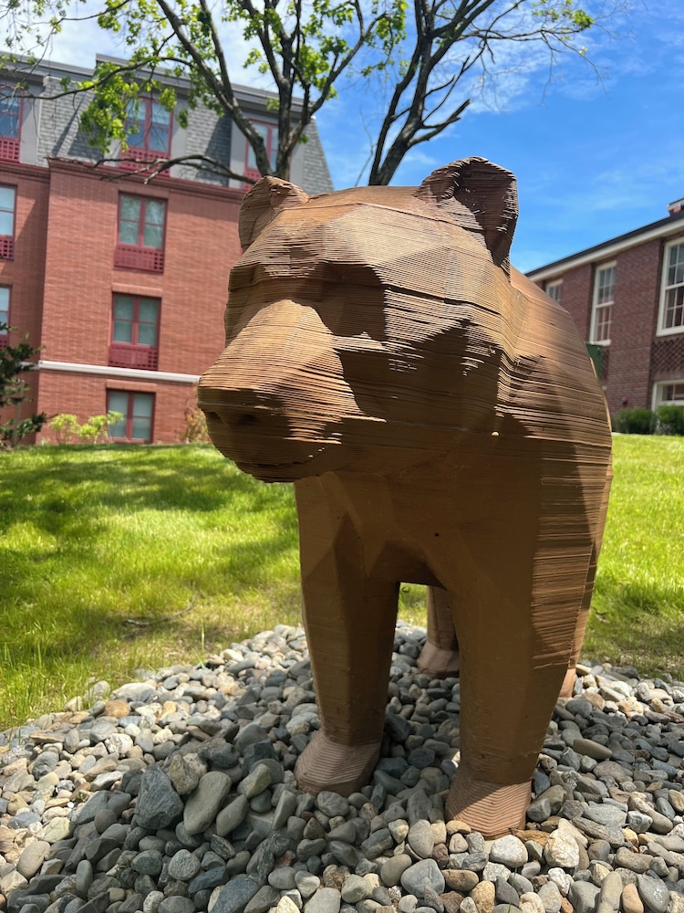 Hotel Ursa - photo 38
