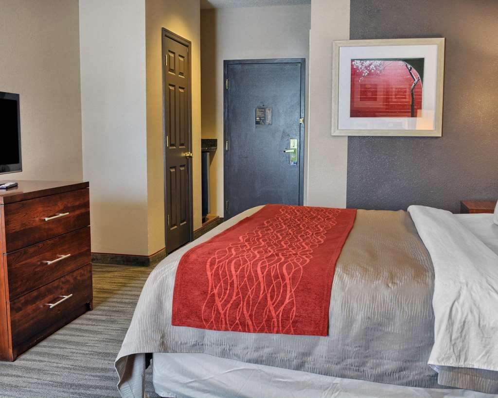 Comfort Inn Ruther Glen near Kings Dominion - photo 22