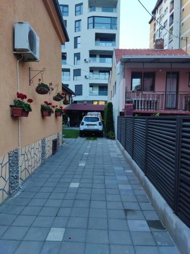 Apartment Sofija — Nis — photo 4