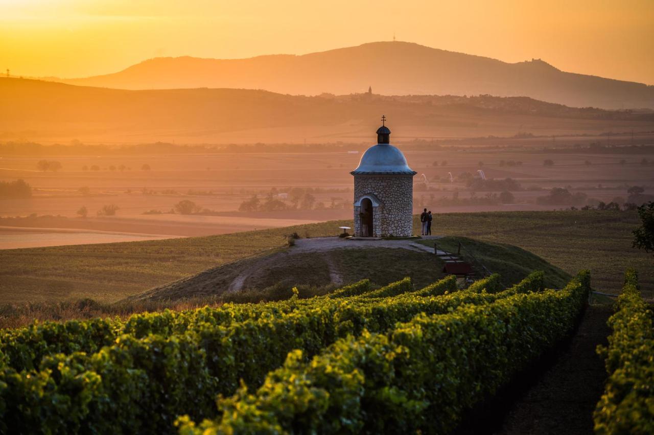 Vinoza Ubytovani a Vinny Sklep Velke Bilovice Rulandova in Velke Bilovice, Czech Republic