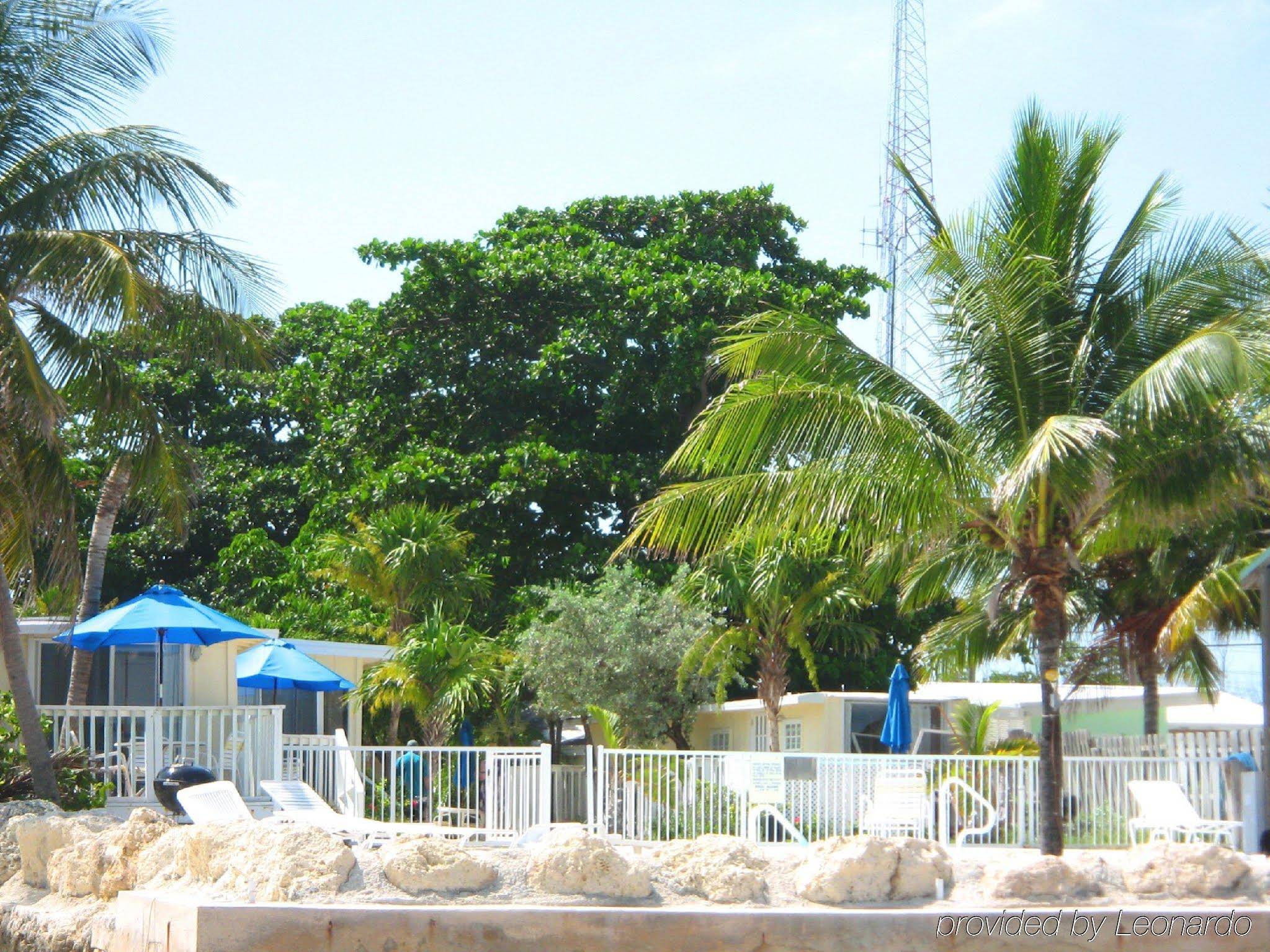 Bonefish Resort - photo 6