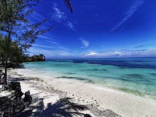 Coco Reef Ecolodge — Zanzibar — photo 2