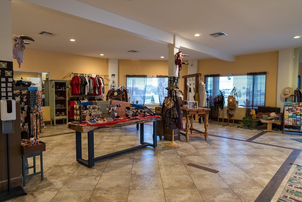 The Classic Desert Aire Hotel - photo 3