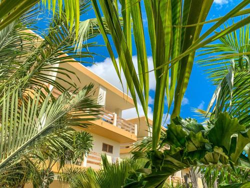 Isla penthouse & garden apartments Bonaire — 4-Star Luxury Hotel in Kralendijk, Bonaire, Sint Eustatius and Saba