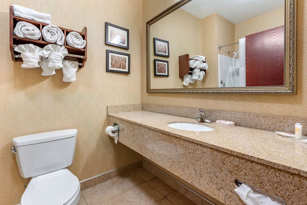Comfort Suites Elkhart South - photo 6