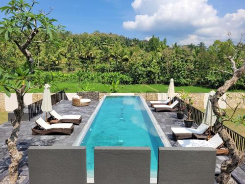 Villa Norwegia pool with panorama rice field view — 4-Star Luxury Hotel in Yogyakarta, Indonesia