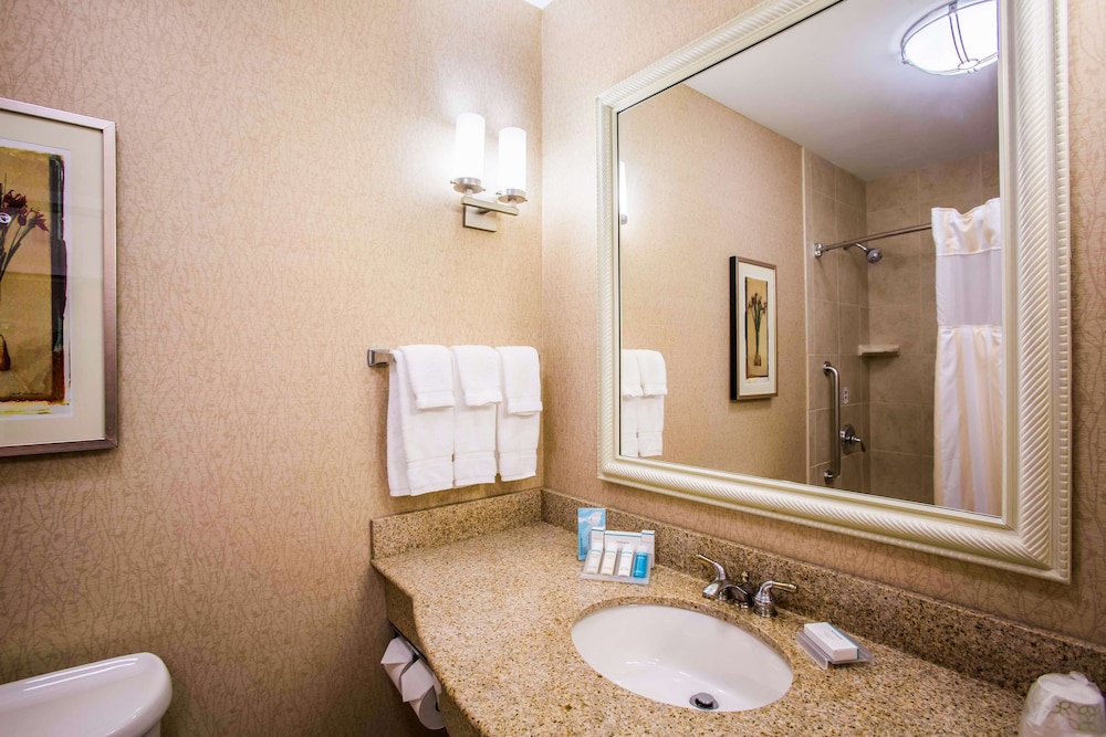 Hilton Garden Inn Milwaukee Northwest Conference Center - photo 22