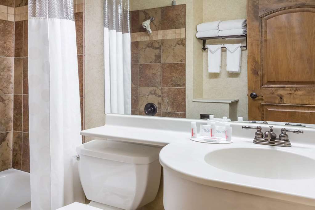 Ramada by Wyndham Frisco - photo 10