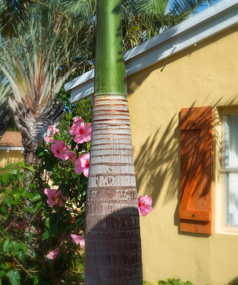 Atlantic Hideaway — Delray Beach — photo 5