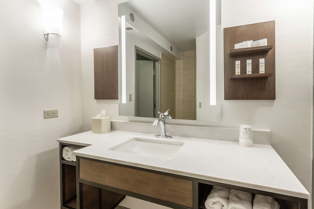 Hilton Garden Inn Chicago Tinley Park - photo 29