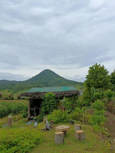 La Colonica - carbon neutral hotel in Londa
