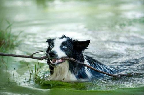 Dalmore Guest Farm in Bergville, South Africa