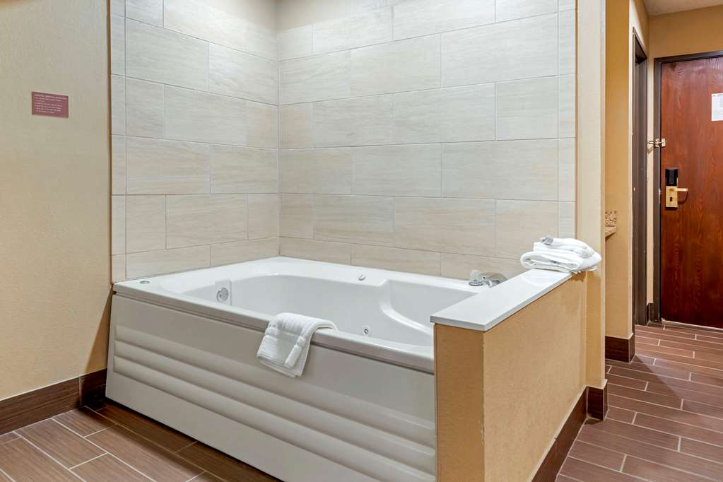Comfort Inn Sault Sainte Marie - photo 28