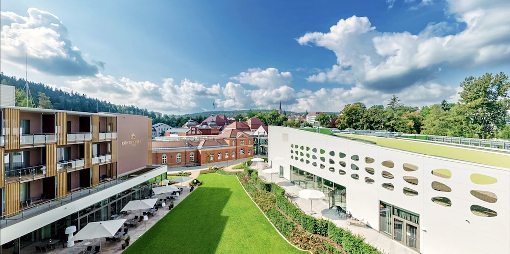 Hotel Konig Albert — Bad Elster