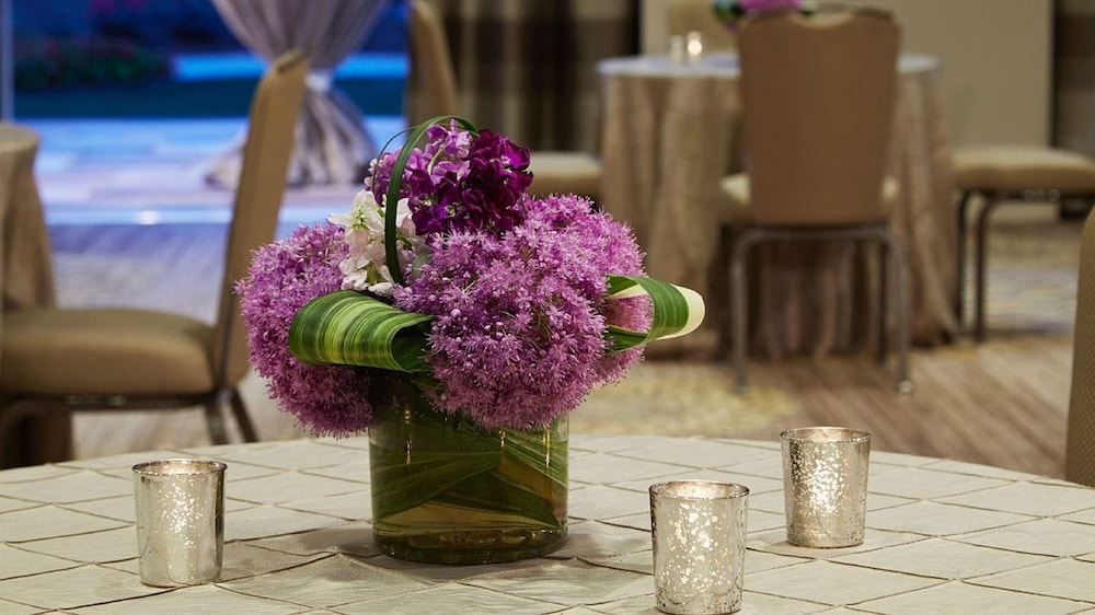 Hyatt Regency Atlanta Perimeter at Villa Christina - photo 42