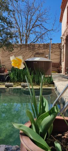 Viento de Ladera Casa Rural Con Piscina Cubierta