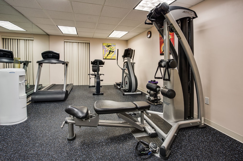 Holiday Inn Express Hotel & Suites Tampa Northwest Oldsmar by IHG - photo 30