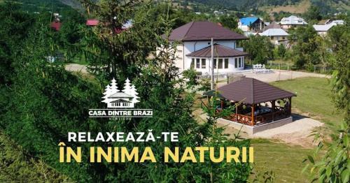 Casa Dintre Brazi 19399216 — Nemtisor