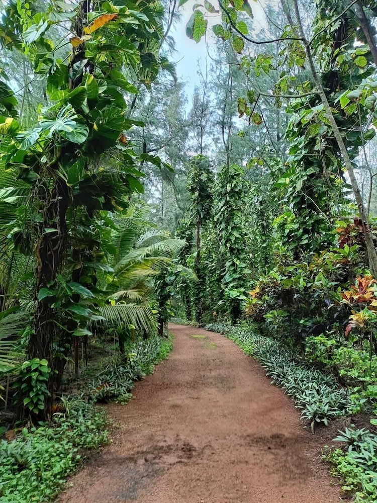 Aura Ecostay Resorts in Kumta, India