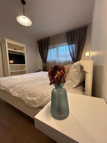 Serelor Cozy Flat 21279928 — Dumbravita