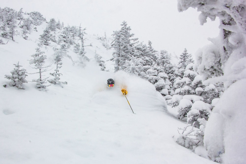 Jay Peak Resort - photo 61