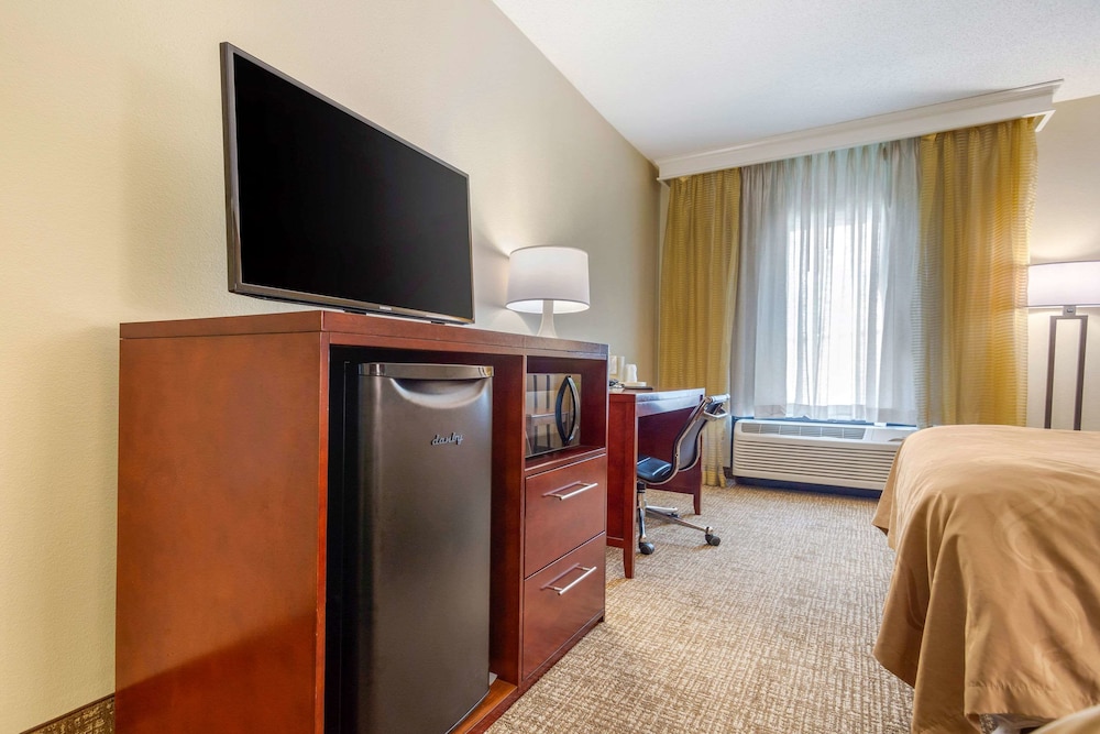 Quality Inn & Suites Olde Town - photo 10