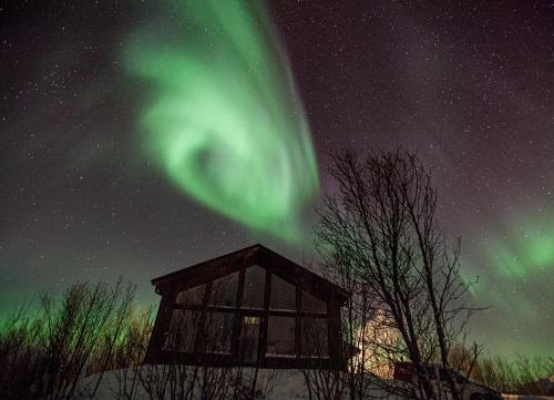 Aurora View Cabin — 4-Star Luxury Hotel in Lyngseidet, Norway