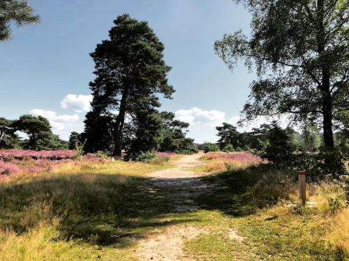 Delightful luxury 2 bedroom holiday home in nature — 4-Star Luxury Hotel in Otterlo, Netherlands