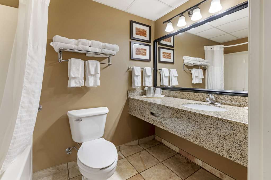 Comfort Inn Albert Lea at Trails Travel Center - photo 39