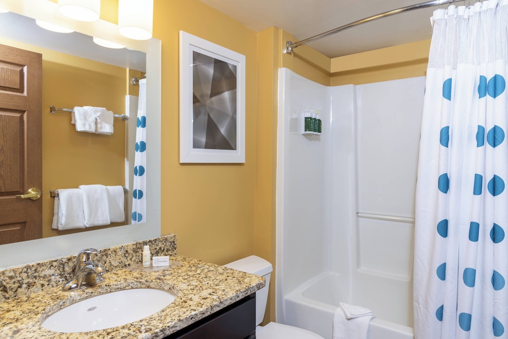 Towneplace Suites by Marriott East Lansing - photo 17