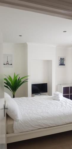 Mirandas Place — hotel in Gillingham