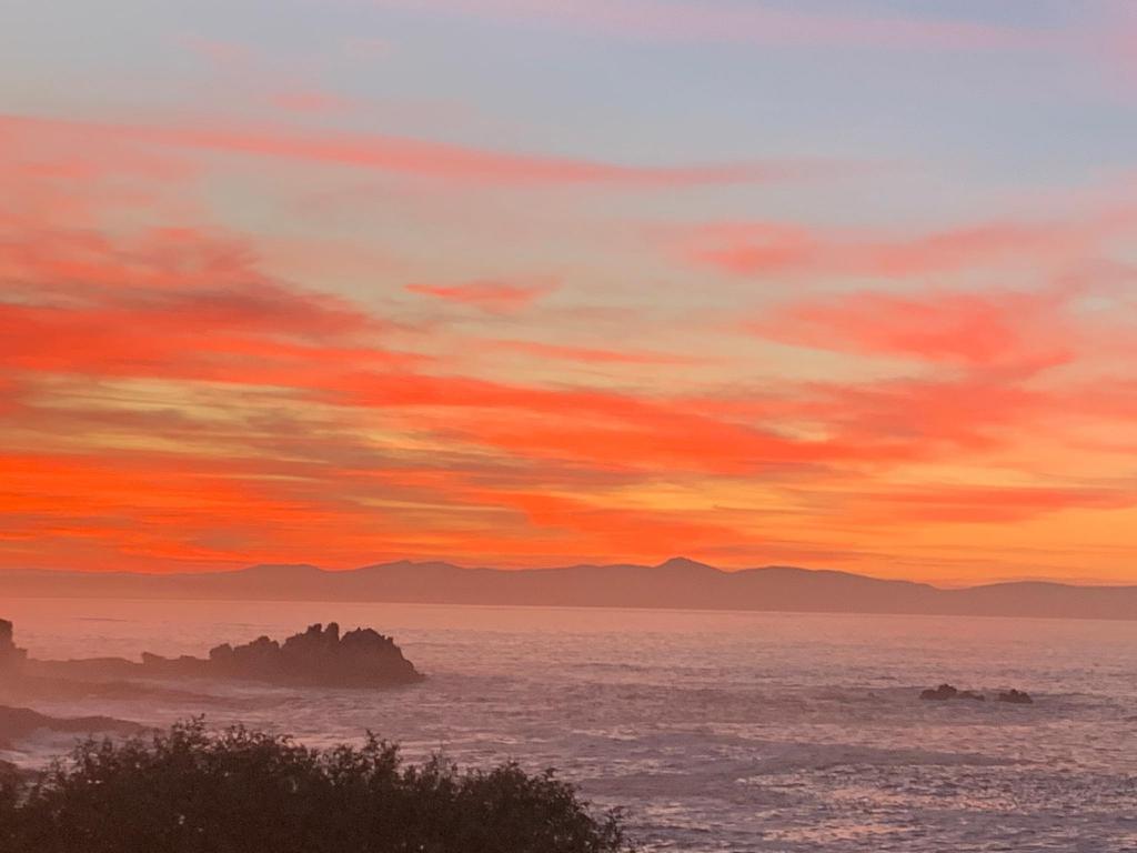 Boutique Ocean Views incorporating Wendy's — 5-Star Luxury Hotel in Hermanus, South Africa