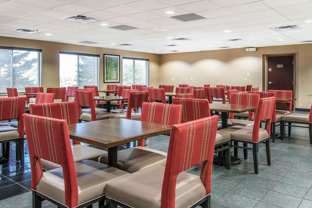 Comfort Suites Wixom Novi - photo 24