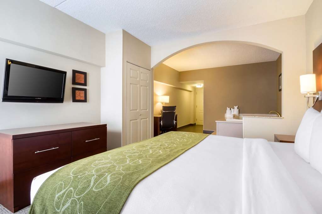 Comfort Suites at Woodbridge - photo 32