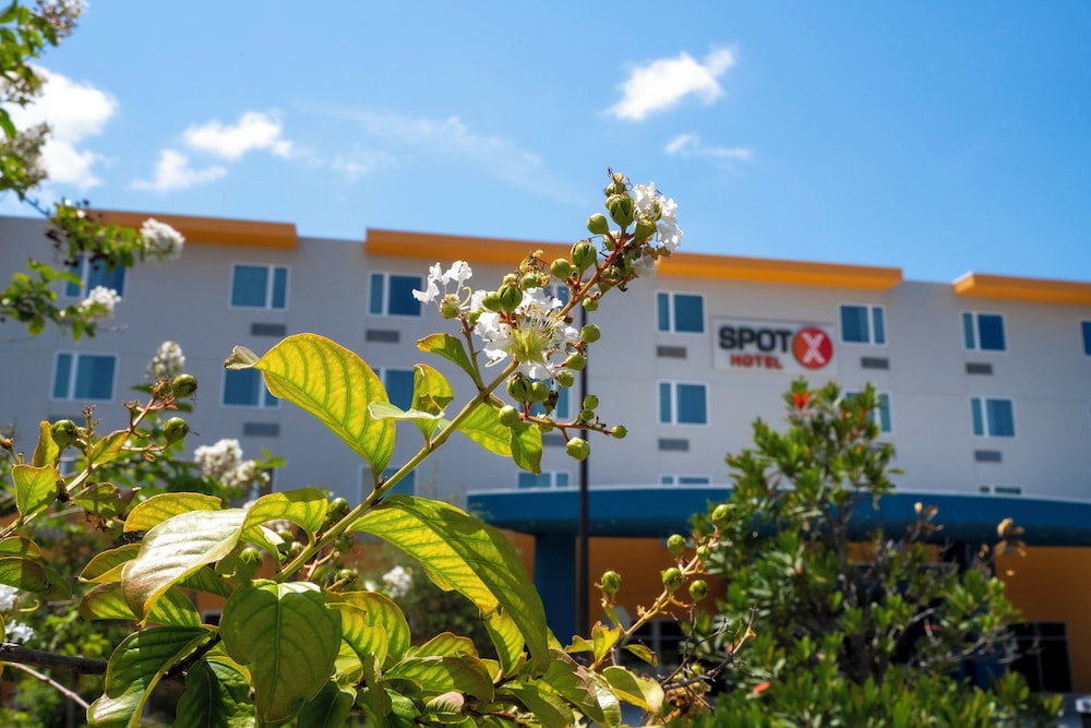 SPOT X Hotel Orlando Intl Dr by The Red Collection - photo 99