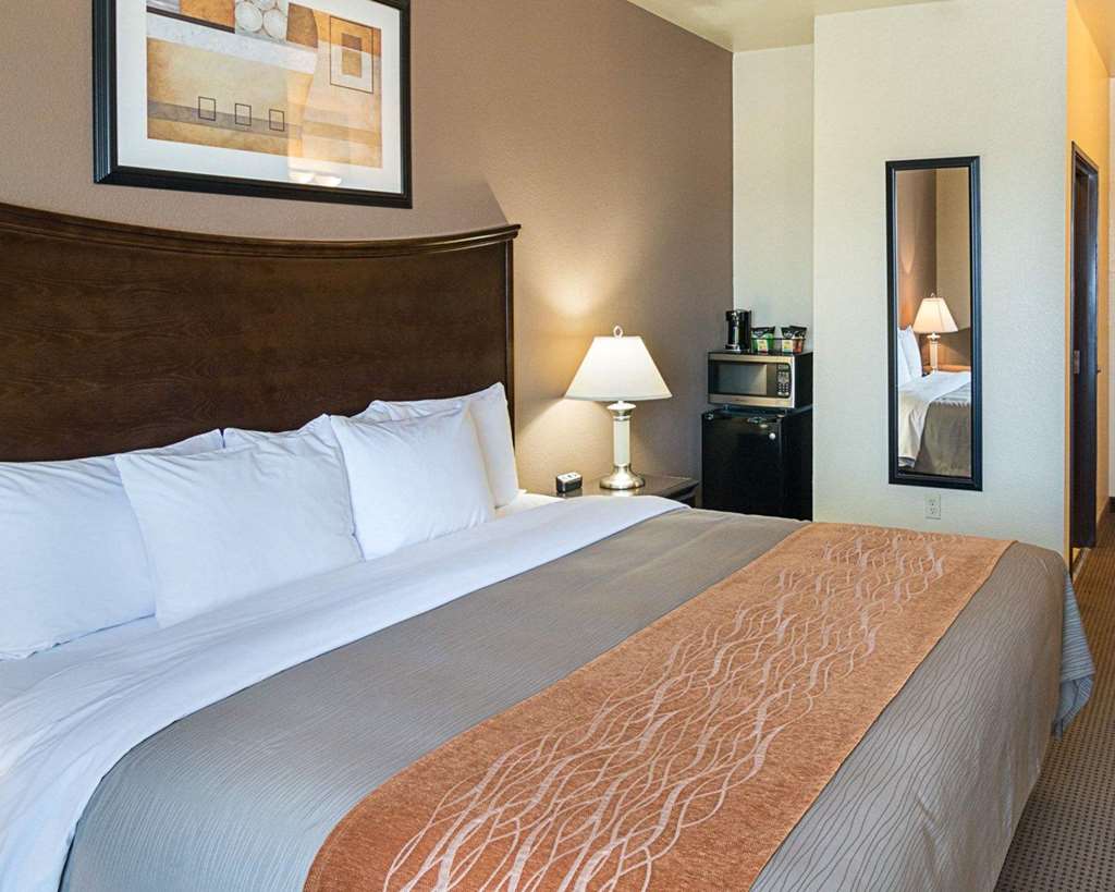Comfort Inn I 20 Midland Stanton - photo 22