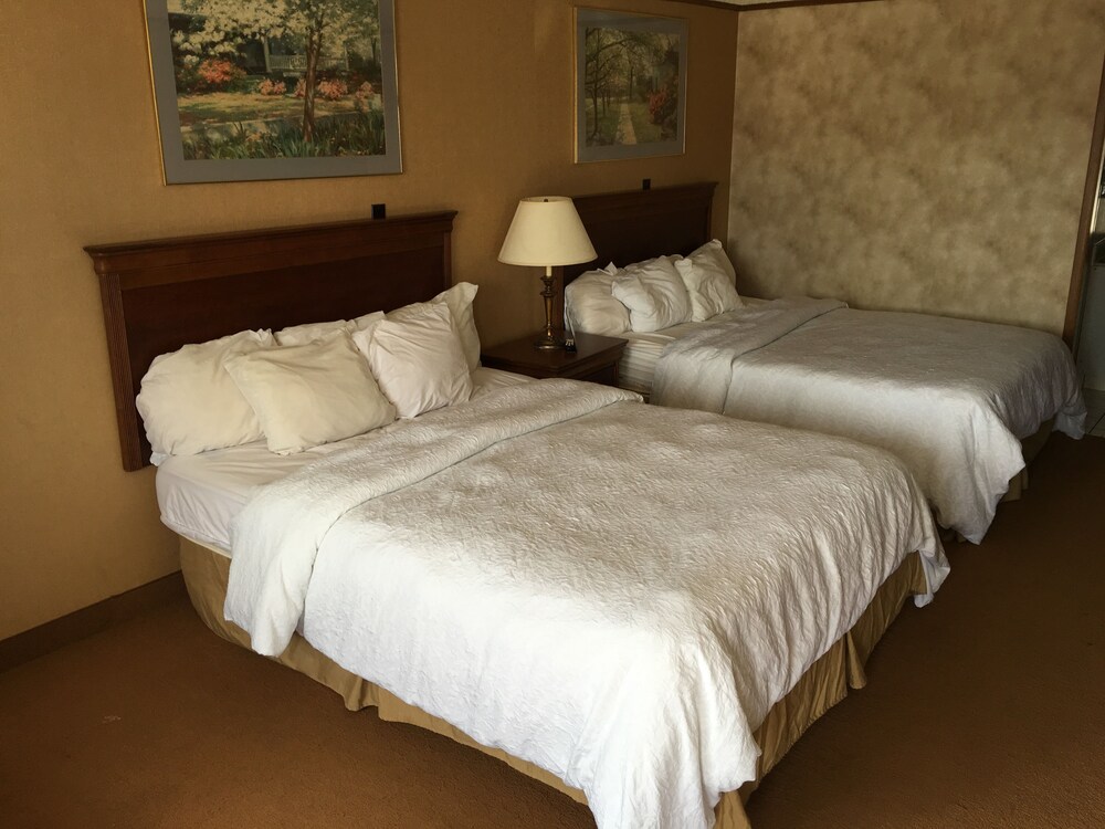 Monroe Hotel - photo 9