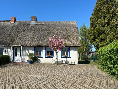 Privatunterkunft ganzes Fischerhäuschen in Garz bei Kayser`s in Garz, Germany