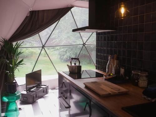 Stay Classy Domes — Otterlo — photo 3