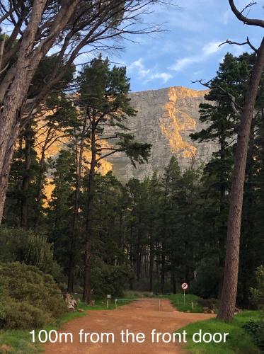 Table Mountain Forest Villa